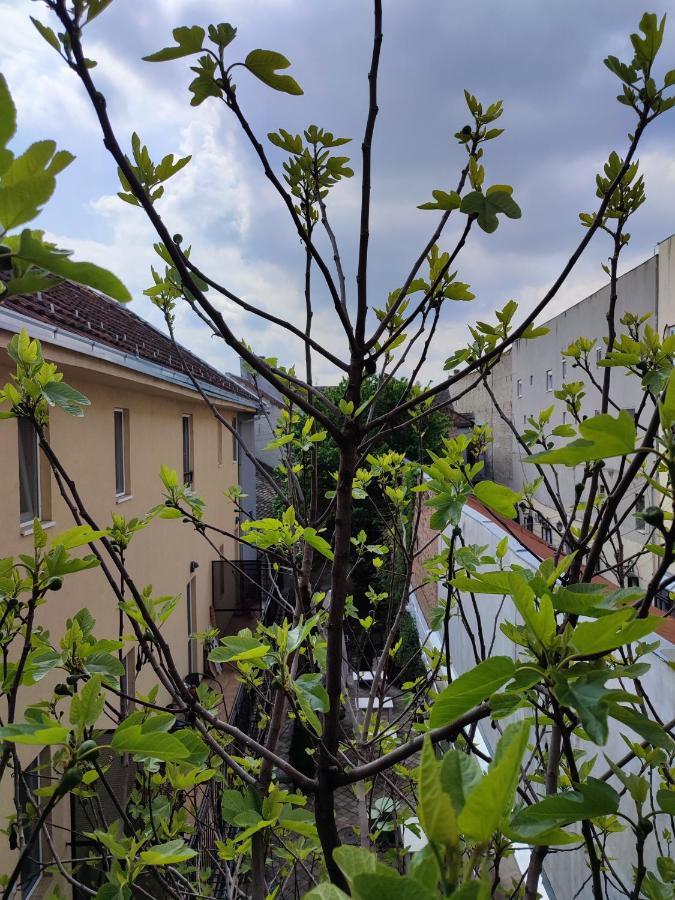 Centar Novi Sad-Apartman No 3 Eksteriør billede