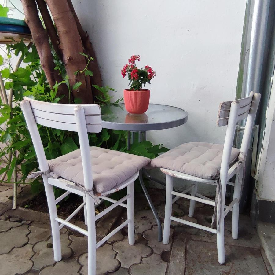 Centar Novi Sad-Apartman No 3 Eksteriør billede