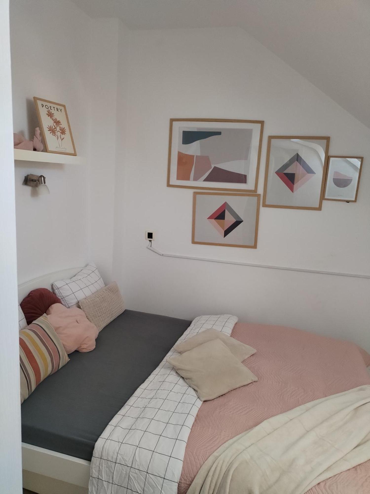 Centar Novi Sad-Apartman No 3 Eksteriør billede
